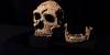 Arqueólogos revelan rostro reconstruido de mujer Neandertal de hace mas de 75 mil años 