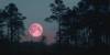  La Luna Rosa iluminará el cielo nocturno: ¿Cómo y cuándo observarla?