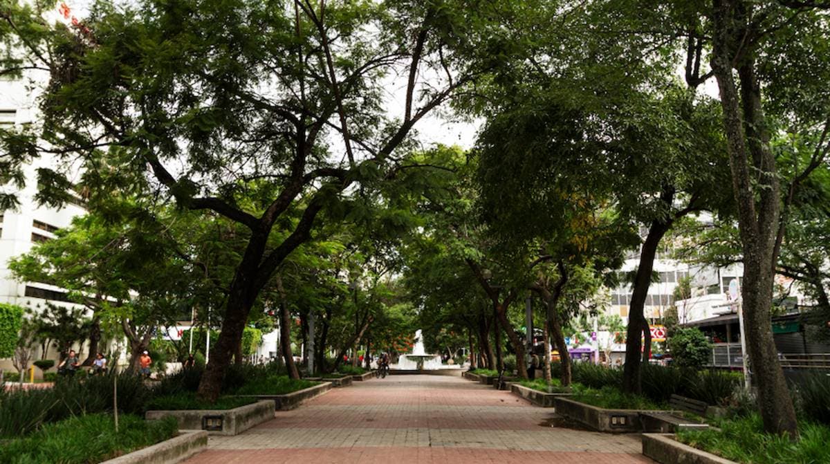 Zonas naturales México