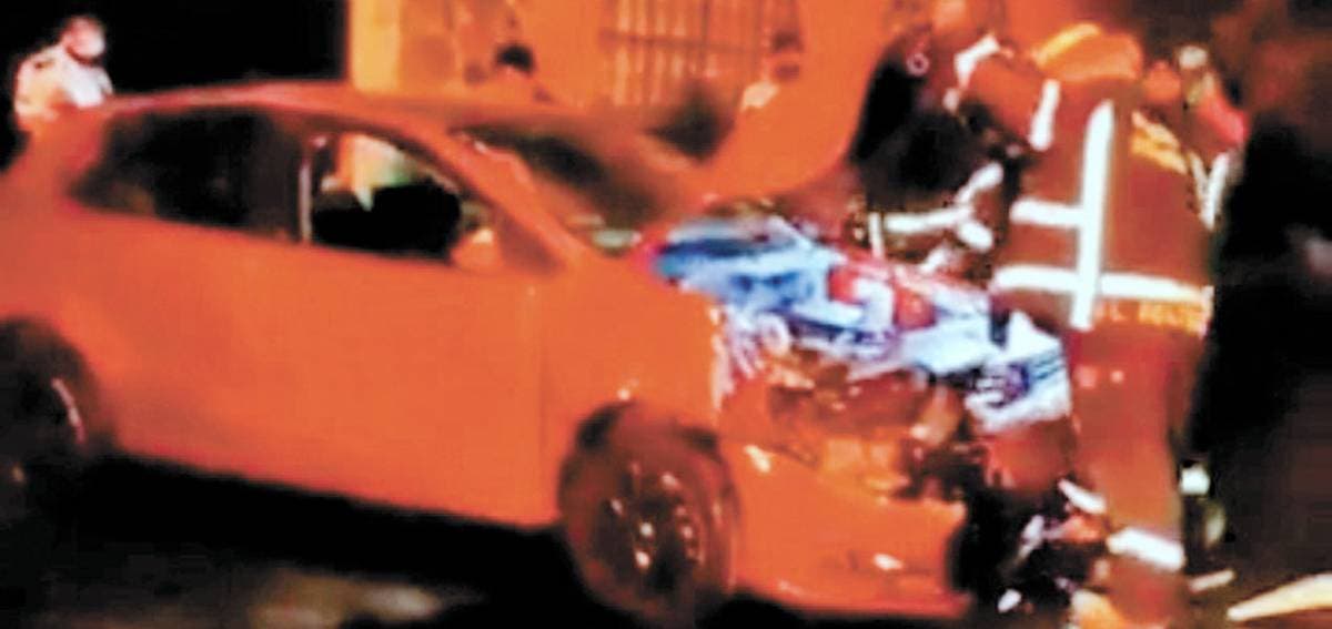 Choca con Palmera Choca con Palmera