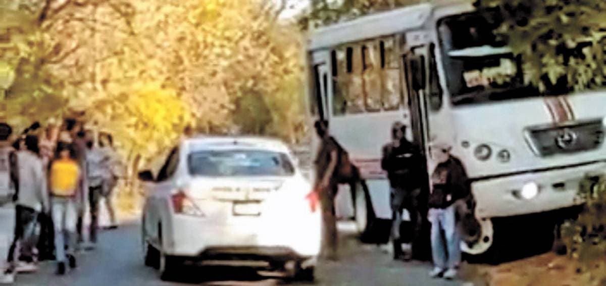 Choca Ometochtli contra árbol 