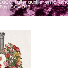 taller respiracion pulmonar.png