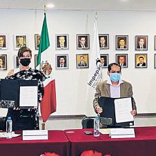partidos-TSJ-Impepac.jpg