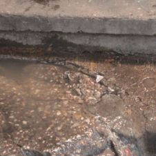 foco de infección ALm.jpg