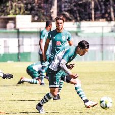 zacatepec-amistoso-alebrijes.jpg