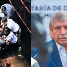 uriostegui puente.jpg