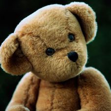 oso-de-peluche.jpg