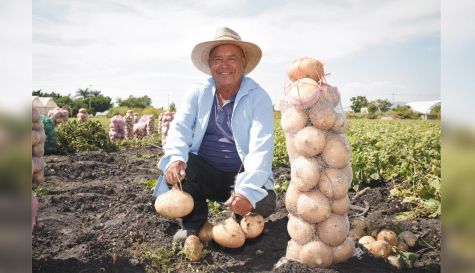 jicama-productores-Morelos-030119.jpg