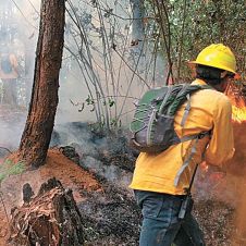 8-Incendios.jpg 8-Incendios.jpg