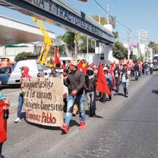 breve2-manifestación-(2)_result.jpg