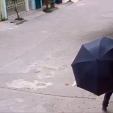 Mujer se roba los trastes de comida de un perro 