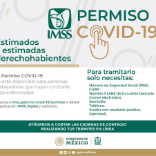 imss digital.png