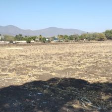 Presentan 25 municipios de Morelos sequía extrema