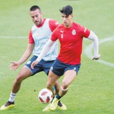 visorias-chivas-morelos.jpg
