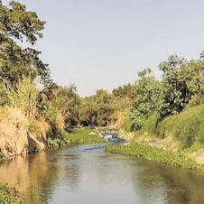 9-Cuautla.jpg