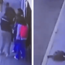Una joven se enfrentó a dos asaltante con una pistola eléctrica.png