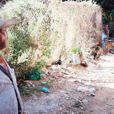 rescate-perros-en-abandono.jpg