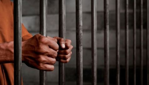 Cámara de Diputados aprobó ampliar la lista de delitos que tendrán prisión preventiva automática.jpg