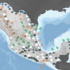 clima morelos febrero.jpg