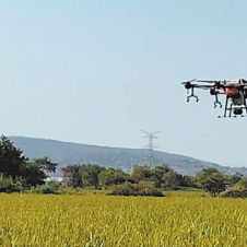 fumigacion-drones_19-03-21.jpg