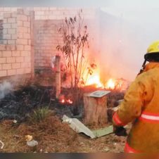 nota3-incendio-en-Milpillas-(4)_result.jpg