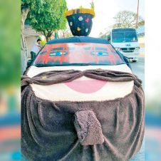 Auto Carnaval en Cuernavaca Morelos