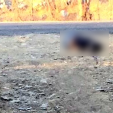 maestra asesinada.png