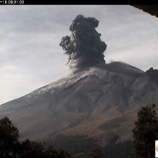 WhatsApp Image 2019-03-16 at 10.00.30.jpeg