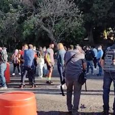 Captura-de-pantalla-2022-03-03-a-las-10.25.03-a.m..jpg
