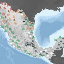 clima morelos.jpg
