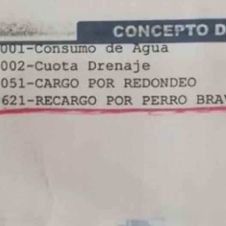 Le cobran en su recibo de agua un recargo por tener perro bravo.jpg