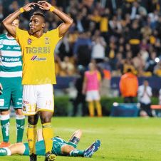 tigres-golea-santos.jpg