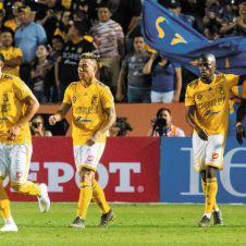 Tigres-Pumas-fuera-070419.jpg