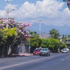 Trabajan en rehabilitación de 80 espacios en Morelos