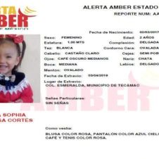 Arrebatan a niña de 2 años de los brazos de su padre y la secuestran.jpg