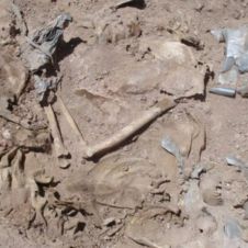 Sube a 27 cuerpos hallados en 19 fosas de Sonora.jpg