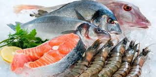 pescados y mariscos.jpeg