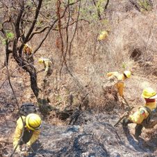 incendio lomas tetela.jpg