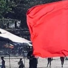 Serpientes acuáticas atacan a turistas en playa de Nayarit.jpg