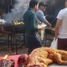 Cocodrilada.jpg
