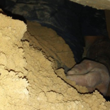 Captura de pantalla 2019-04-26 a las 2.41.24 p.m..png