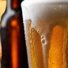 La primera cerveza que ayuda a salvar perritos de la calle.jpg