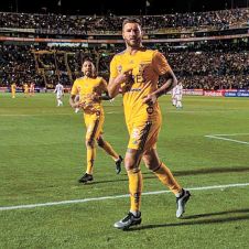 Tigres.jpg