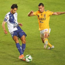 tigres-con-ventaja.jpg