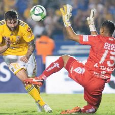 tigres-avanza-semis.jpg