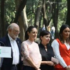 Gobierno de CDMX se pone como reto plantar 10 millones de árboles.jpg