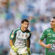 tigres-y-leon-en-duelo.jpg