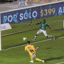 tigres-pega-primero.jpg