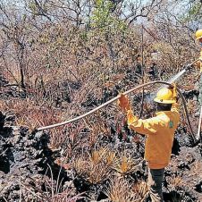 Arrecian incendios en zonas naturales protegidas de Morelos