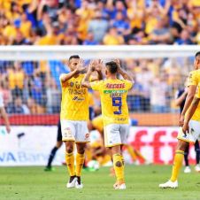 Tigres es campeón del torneo de Clausura 2019 .jpeg